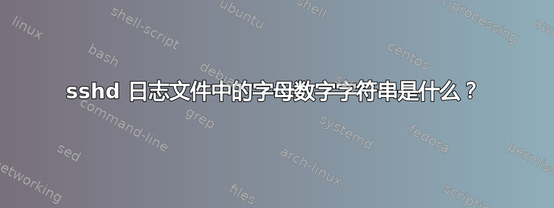 sshd 日志文件中的字母数字字符串是什么？