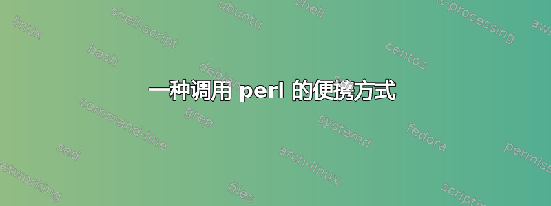 一种调用 perl 的便携方式