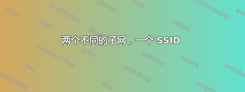 两个不同的子网，一个 SSID