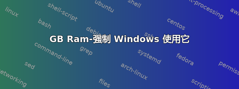 1 GB Ram-强制 Windows 使用它