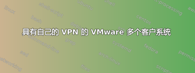 具有自己的 VPN 的 VMware 多个客户系统