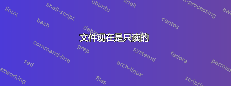 文件现在是只读的