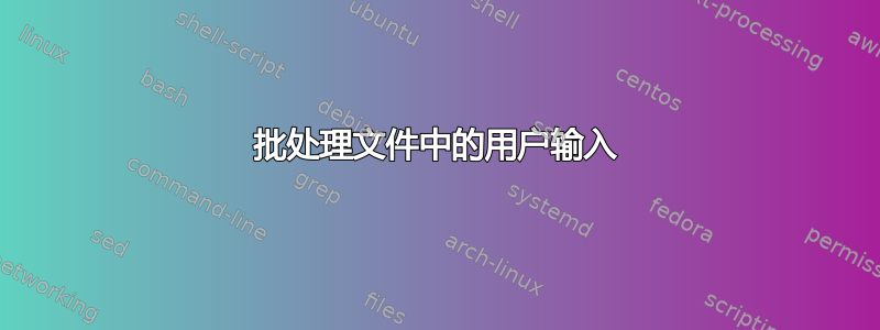 批处理文件中的用户输入