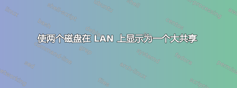 使两个磁盘在 LAN 上显示为一个大共享