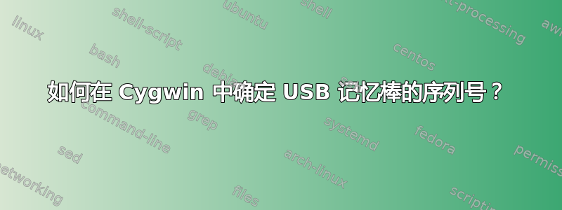 如何在 Cygwin 中确定 USB 记忆棒的序列号？