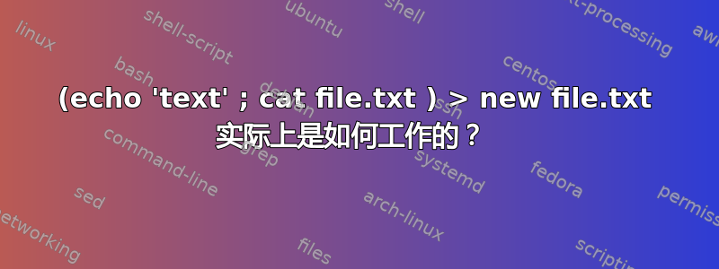 (echo 'text' ; cat file.txt ) > new file.txt 实际上是如何工作的？ 