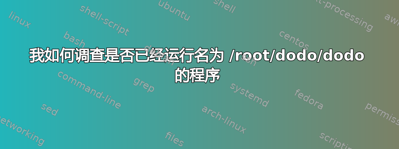 我如何调查是否已经运行名为 /root/dodo/dodo 的程序