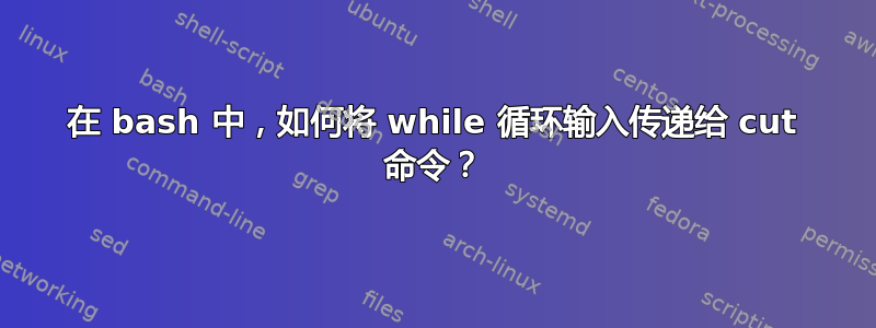 在 bash 中，如何将 while 循环输入传递给 cut 命令？