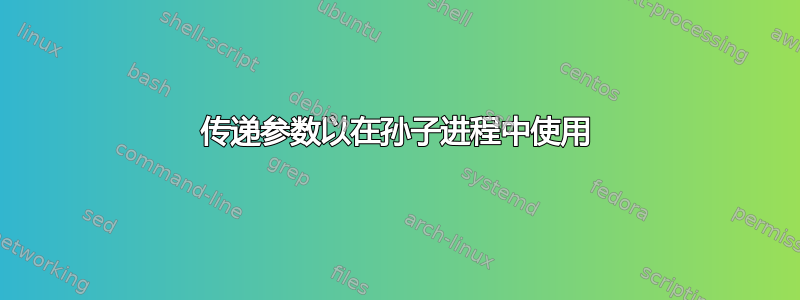 传递参数以在孙子进程中使用