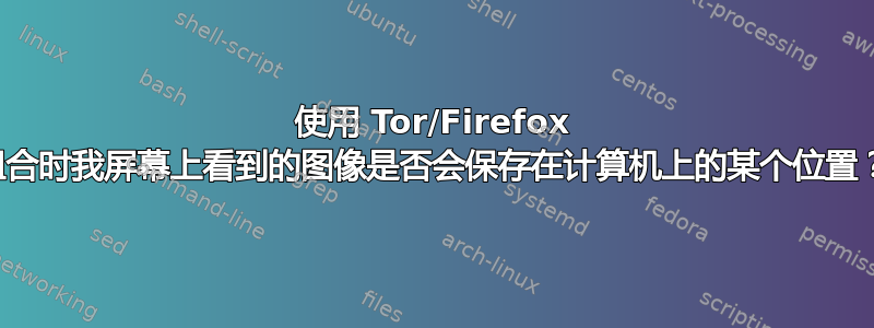 使用 Tor/Firefox 组合时我屏幕上看到的图像是否会保存在计算机上的某个位置？