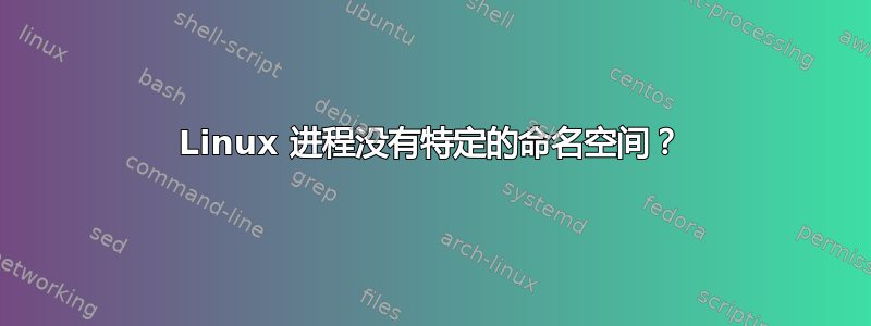 Linux 进程没有特定的命名空间？