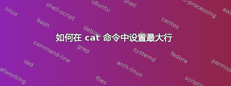 如何在 cat 命令中设置最大行