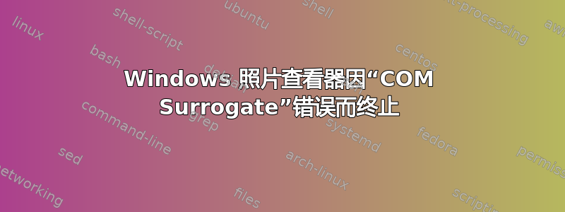 Windows 照片查看器因“COM Surrogate”错误而终止