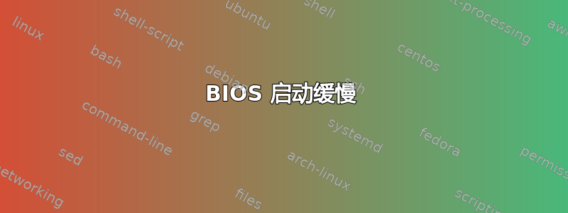 BIOS 启动缓慢