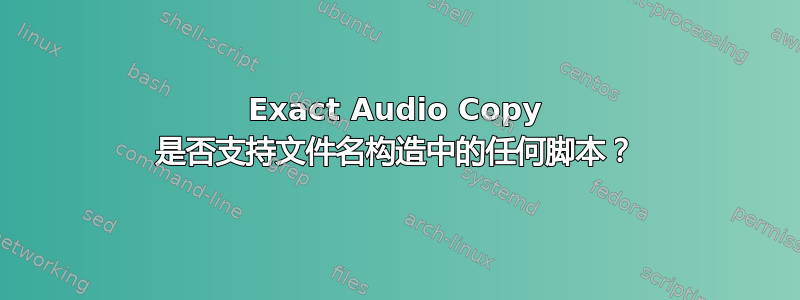 Exact Audio Copy 是否支持文件名构造中的任何脚本？