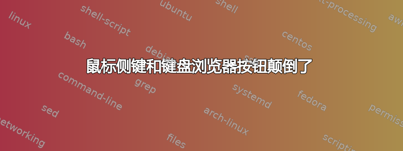 鼠标侧键和键盘浏览器按钮颠倒了