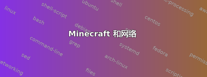 Minecraft 和网络