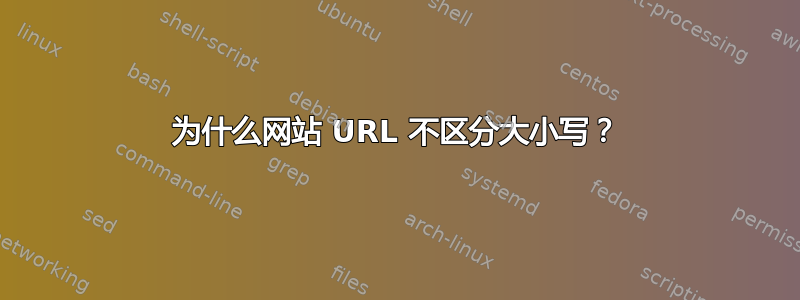 为什么网站 URL 不区分大小写？