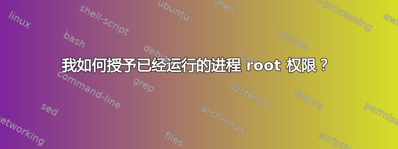 我如何授予已经运行的进程 root 权限？