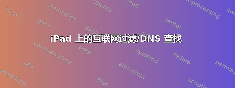 iPad 上的互联网过滤/DNS 查找