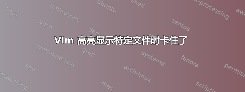 Vim 高亮显示特定文件时卡住了