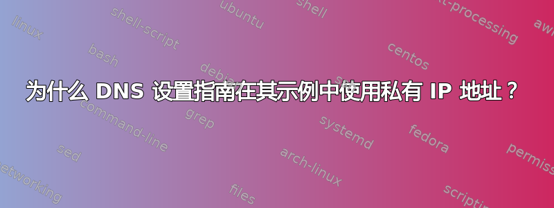 为什么 DNS 设置指南在其示例中使用私有 IP 地址？