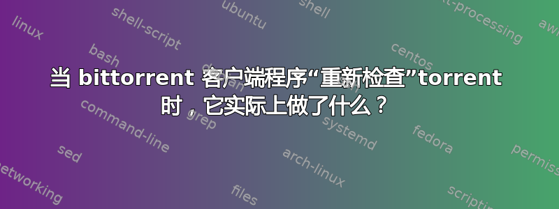 当 bittorrent 客户端程序“重新检查”torrent 时，它实际上做了什么？