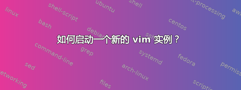 如何启动一个新的 vim 实例？