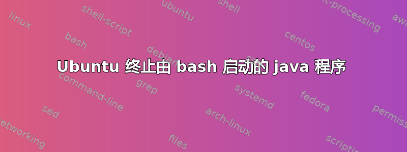 Ubuntu 终止由 bash 启动的 java 程序