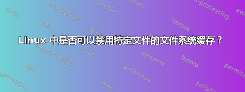 Linux 中是否可以禁用特定文件的文件系统缓存？