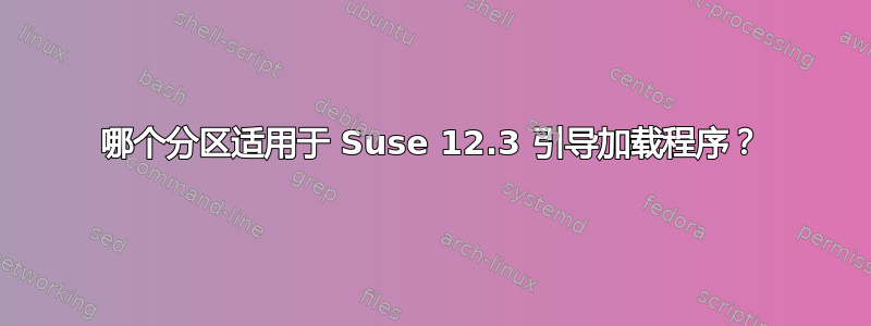 哪个分区适用于 Suse 12.3 引导加载程序？