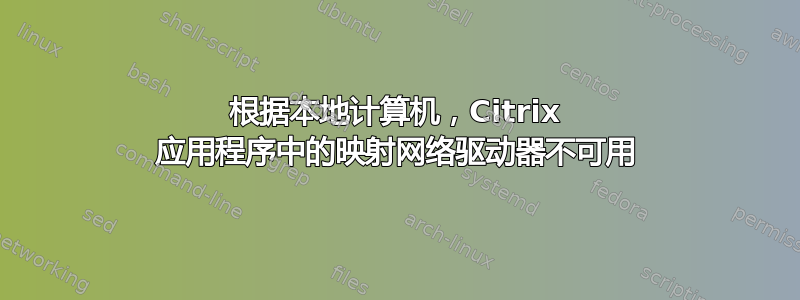 根据本地计算机，Citrix 应用程序中的映射网络驱动器不可用