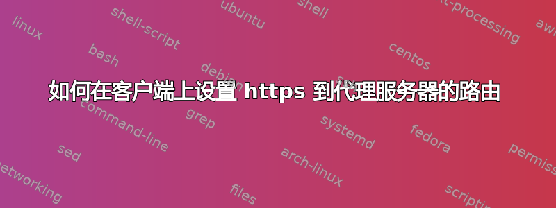 如何在客户端上设置 https 到代理服务器的路由