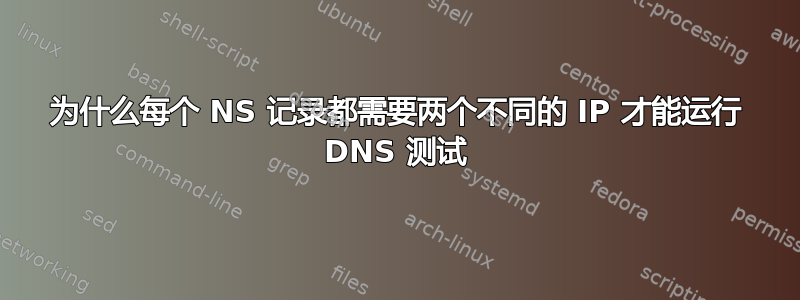 为什么每个 NS 记录都需要两个不同的 IP 才能运行 DNS 测试