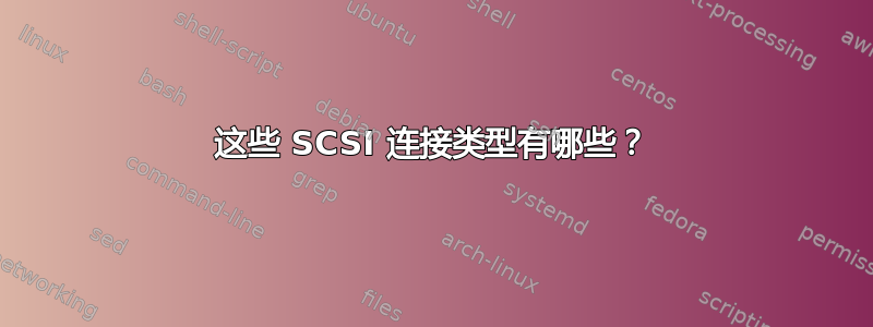 这些 SCSI 连接类型有哪些？