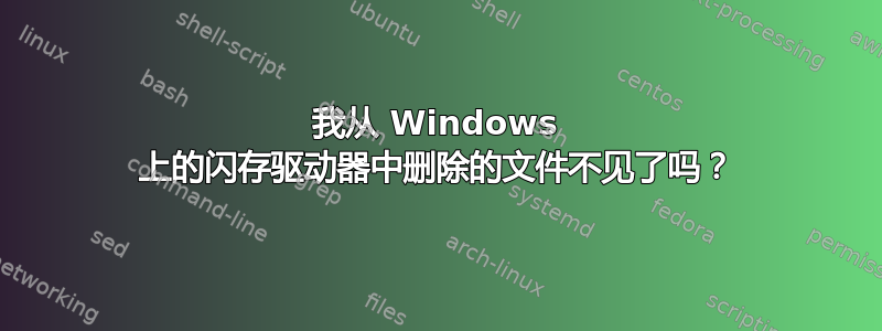 我从 Windows 上的闪存驱动器中删除的文件不见了吗？