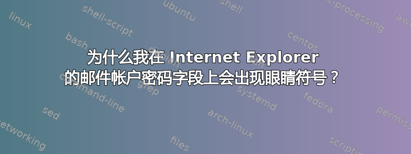 为什么我在 Internet Explorer 的邮件帐户密码字段上会出现眼睛符号？