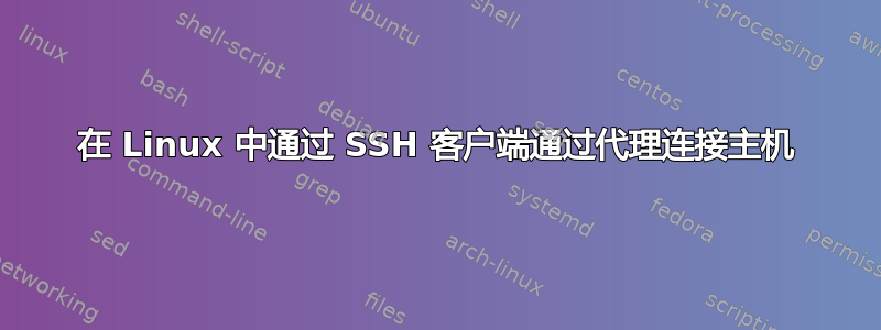 在 Linux 中通过 SSH 客户端通过代理连接主机