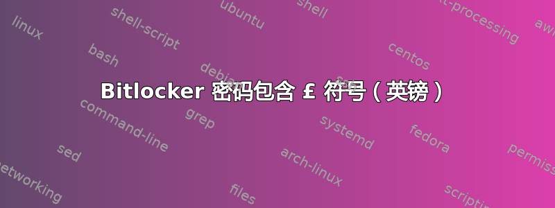 Bitlocker 密码包含 £ 符号（英镑）