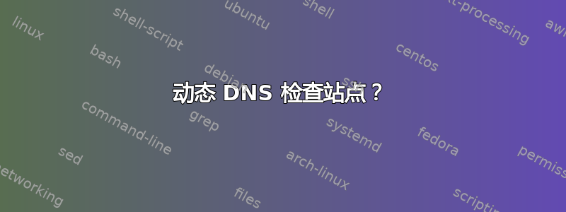 动态 DNS 检查站点？