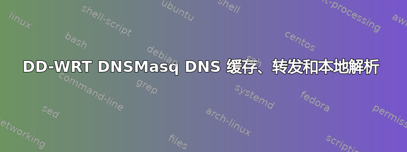 DD-WRT DNSMasq DNS 缓存、转发和本地解析