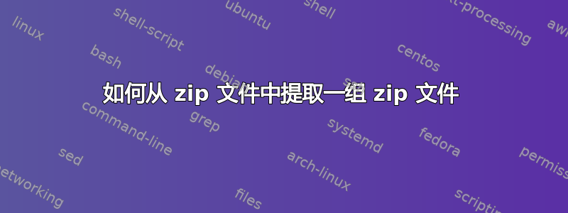 如何从 zip 文件中提取一组 zip 文件