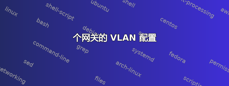 2 个网关的 VLAN 配置