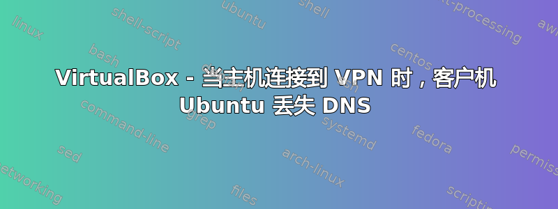 VirtualBox - 当主机连接到 VPN 时，客户机 Ubuntu 丢失 DNS