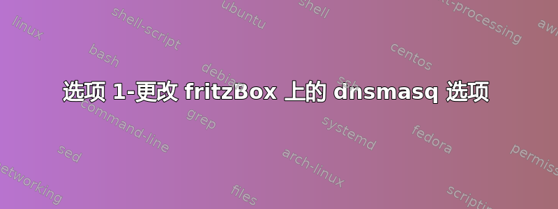 选项 1-更改 fritzBox 上的 dnsmasq 选项