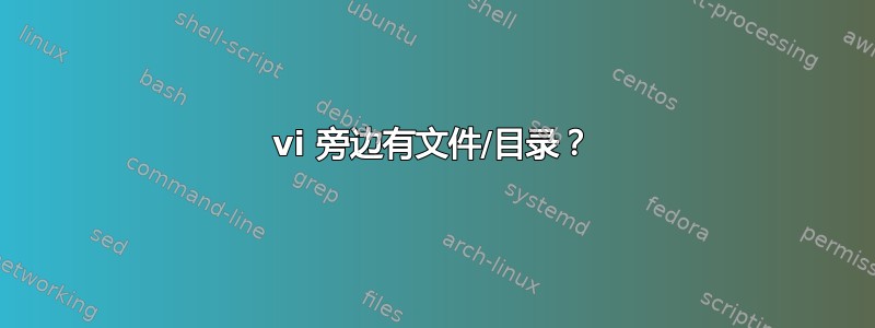 vi 旁边有文件/目录？