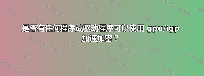 是否有任何程序或驱动程序可以使用 gpu/igp 加速加密？