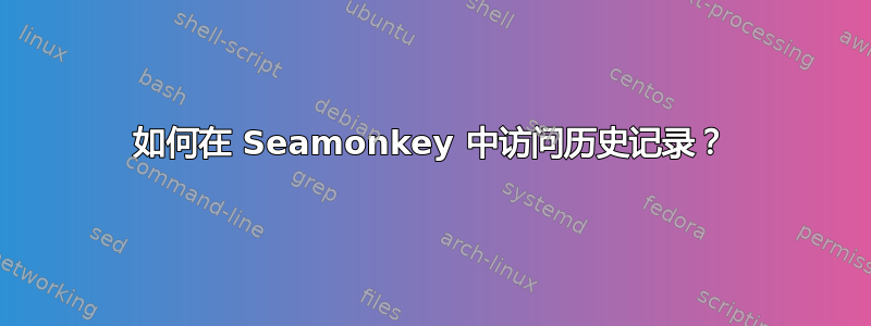 如何在 Seamonkey 中访问历史记录？