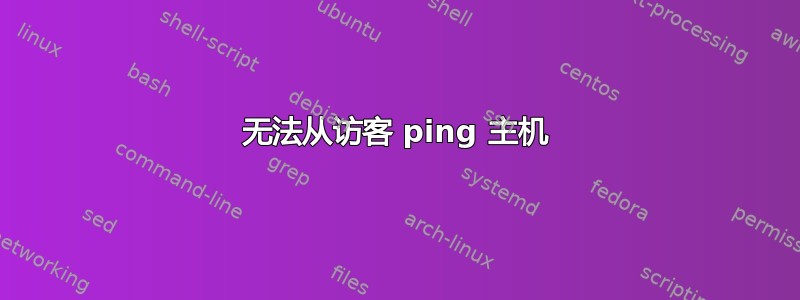 无法从访客 ping 主机