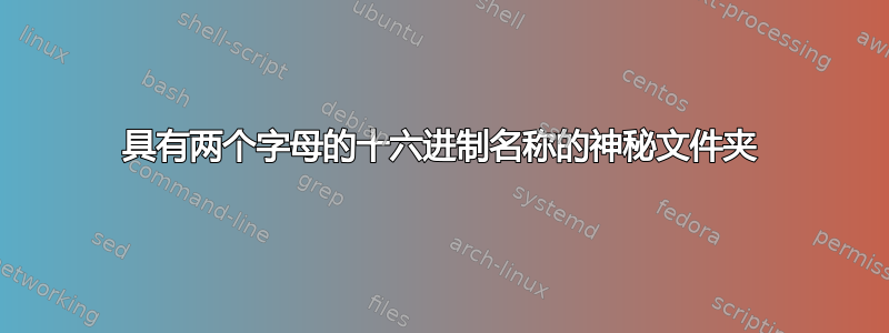 具有两个字母的十六进制名称的神秘文件夹